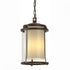 Hubbardton Forge Meridian Large Outdoor Ceiling Fixture in Coastal Oil Rubbed Bronze Finish Model: 365615-SKT-14-ZS0283