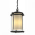 Hubbardton Forge Meridian Large Outdoor Ceiling Fixture in Coastal Oil Rubbed Bronze Finish Model: 365615-SKT-14-ZS0283