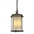 Hubbardton Forge Meridian Outdoor Ceiling Fixture in Coastal Oil Rubbed Bronze Finish Model: 365610-SKT-14-ZS0297