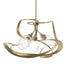 Hubbardton Forge Nest Pendant Model: 137855-SKT-MULT-07-ZM0621