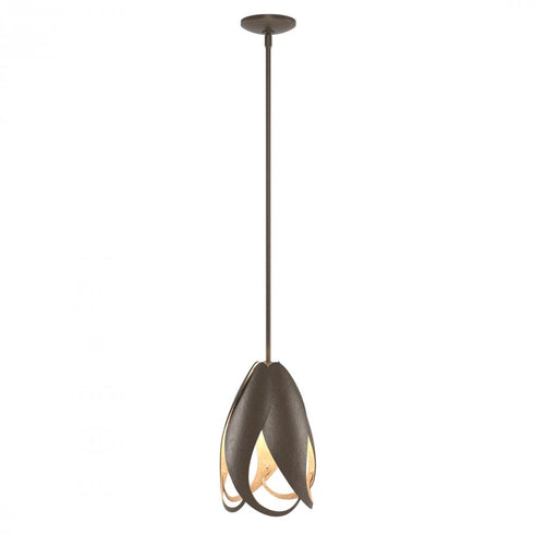 Hubbardton Forge Pental Mini Pendant in Bronze Finish Model: 188770-SKT-MULT-05