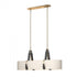 Hubbardton Forge Saratoga Oval Pendant Model: 134070-SKT-STND-24-LK-SA4608