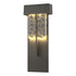 Hubbardton Forge Shard XL Outdoor Sconce in Coastal Oil Rubbed Bronze Finish Model: 302518-LED-14-YP0669