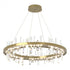 Hubbardton Forge Solitude Circular LED Pendant in Bronze Finish Model: 139915-LED-STND-05-CR