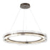 Hubbardton Forge Solstice LED Pendant in Bronze Finish Model: 139780-LED-STND-05-ZM0518