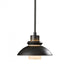Hubbardton Forge Staccato Large Mini Pendant in Bronze Finish Model: 184970-SKT-MULT-05