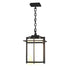 Hubbardton Forge Tourou Large Outdoor Ceiling Fixture in Coastal Natural Iron Finish Model: 366007-SKT-20-GG0112