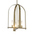 Hubbardton Forge Triomphe 4 Light Pendant Model: 131070-SKT-MULT-89-FD0462