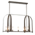 Hubbardton Forge Triomphe 9 Light Linear Pendant Model: 131075-SKT-MULT-14-FD0462