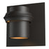 Hubbardton Forge Twilight Small Dark Sky Friendly Outdoor Sconce in Coastal Oil Rubbed Bronze Finish Model: 304901-SKT-14