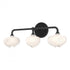 Hubbardton Forge Ume 3 Light Curved Arm Bath Sconce in Black Finish Model: 201342-SKT-10-10-FD0710