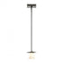 Hubbardton Forge Wren Mini Pendant in Bronze Finish Model: 186600-SKT-MULT-05-GG0242