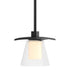 Hubbardton Forge Wren Mini Pendant in Bronze Finish Model: 186600-SKT-MULT-05-GG0242