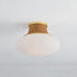 Hudson Valley Pearl River Flush Mount in Aged Brass Finish Model: 2310-AGB