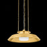 Hudson Valley Woodrow Pendant in Aged Brass Finish Model: 8822-AGB