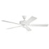 Kichler 52 Inch Basics Pro Patio Fan Model: 330015SNB