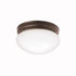 Kichler Ceiling Space 2 Light Flush Mount Model: 209NI