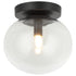 Matteo Lighting Bulbus in Matte Black Ceiling Mount Model: X38101MB