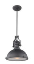 Matteo Lighting Cresswell Series 1 Light Pendant in Nickel Model: C53802BN