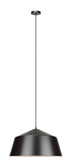 Matteo Lighting Encase in Bronze Pendant Model: C64001BZ