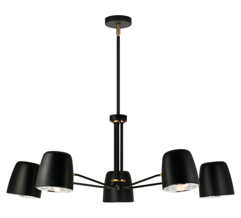 Matteo Lighting Luca 5 Light Pendant in Black Model: C73705BK