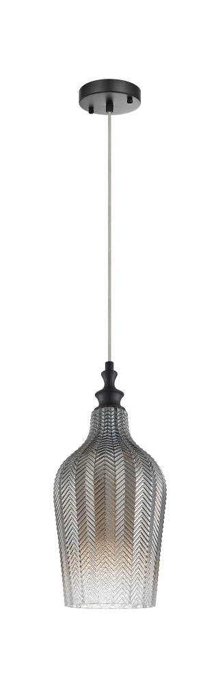 Matteo Lighting Renity 1 Light Pendant in Combination Finishes Model: C80101AG