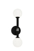 Matteo Lighting Stellar in Aged Gold Brass Wall Sconce Model: W75302AGCL