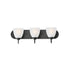 Maxim Axis Bath Vanity in Black Finish Model: 11383FTBK