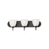 Maxim Axis Bath Vanity in Black Finish Model: 11383FTBK