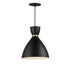 Maxim Carillon Mini Pendant in Black / Satin Brass Finish Model: 11302BKSBR