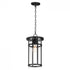 Maxim Clyde Vivex Outdoor Pendant in Black Finish Model: 40629CLBK