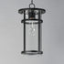 Maxim Clyde Vivex Outdoor Pendant in Black Finish Model: 40629CLBK