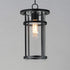 Maxim Clyde Vivex Outdoor Pendant in Black Finish Model: 40629CLBK