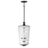 Maxim Copacabana Single Pendant in Black Finish Model: 12443CLFTBK