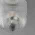 Maxim Dune Semi Flush Mount in Black Finish Model: 15122CRBK