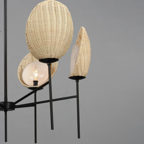 Maxim Maldives Chandelier in Black Finish Model: 12606NABK