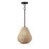 Maxim Maldives Single Pendant in Black Finish Model: 12602NABK