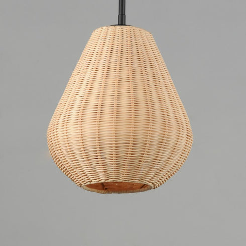 Maxim Maldives Single Pendant in Black Finish Model: 12602NABK