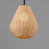 Maxim Maldives Single Pendant in Black Finish Model: 12602NABK