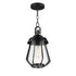 Maxim Mariner Outdoor Pendant in Black / Antique Brass Finish Model: 30621CDBKAB