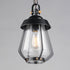 Maxim Mariner Outdoor Pendant in Black / Antique Brass Finish Model: 30621CDBKAB