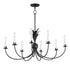 Maxim Paloma Chandelier in Anthracite Finish Model: 2888AR