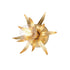 Maxim Paloma Wall Sconce in Anthracite Finish Model: 2880AR