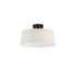 Maxim Paramount Flush Mount in Natural Aged Brass Finish Model: 10330OFNAB
