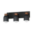 Maxim Pompeii Bath Vanity in Lava Black Finish Model: 10623LVBK
