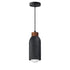Maxim Pompeii Single Pendant in Lava Black Finish Model: 90621LVBK