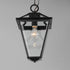 Maxim Prism Outdoor Pendant in Black Finish Model: 30569CLBK