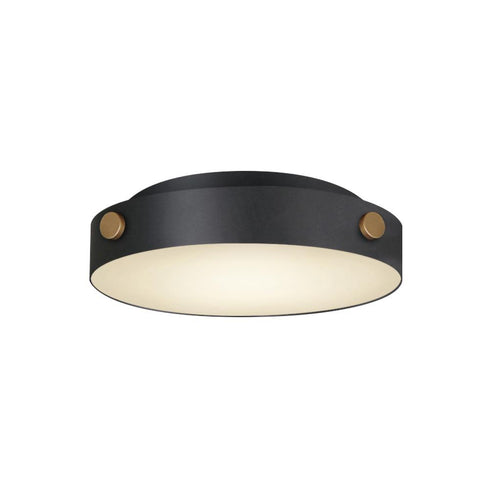 Maxim Rivet Outdoor Flush Mount in Black / Antique Brass Finish Model: 42129BKAB