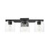 Maxim Scoop Bath Vanity in Black Finish Model: 21233CLBK