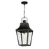Maxim Storybook Outdoor Pendant in Black Finish Model: 30369CLBK